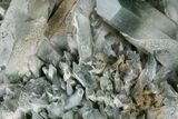 Chlorite Included Quartz Crystal Cluster - Baluchistan, Pakistan #175089-2